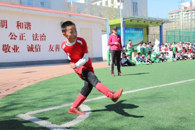 白岩松：这支英格兰要是有了奥利塞就是冠军，简直太遗憾了